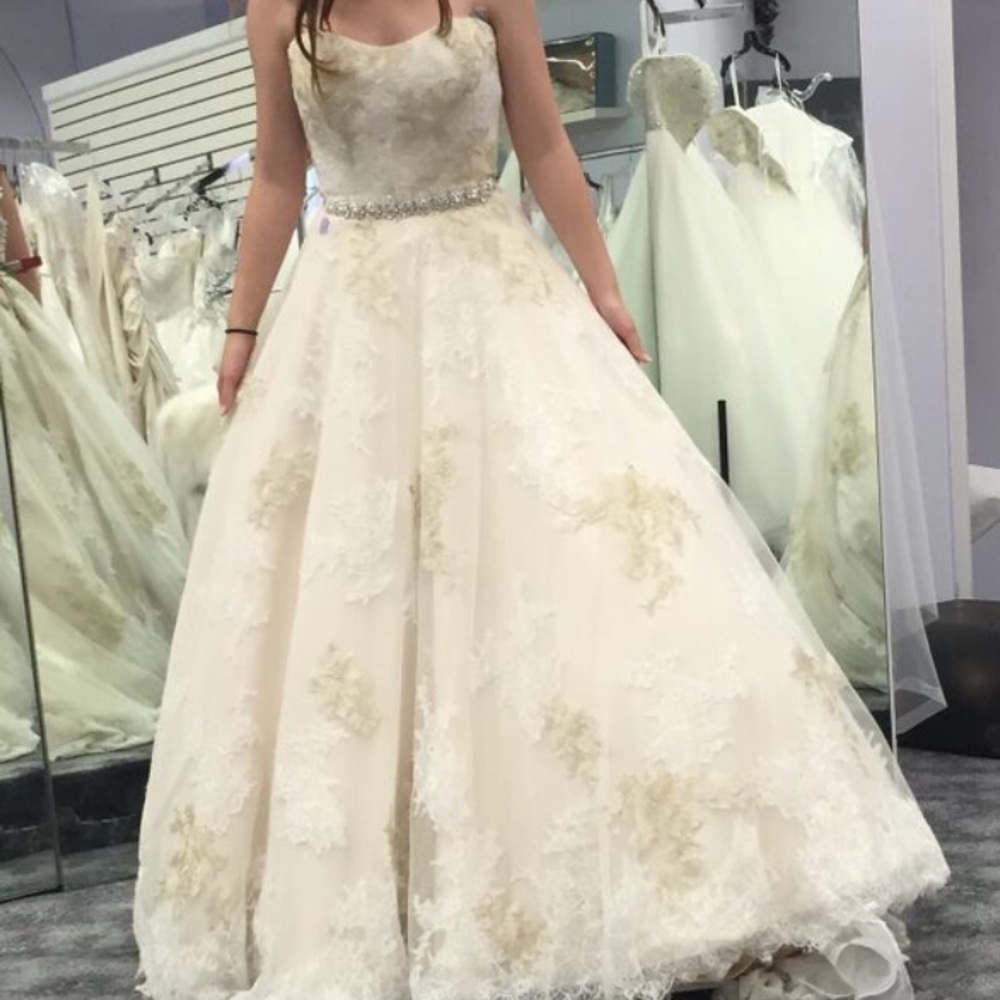 Never Worn Unaltered Wedding Gown
